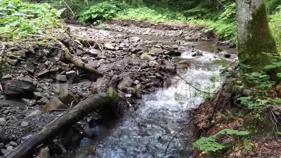 乌克兰喀尔巴阡山脉绿色森林之旅附近的山河流水视频的预览图