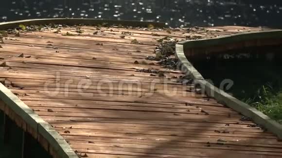 秋天湖畔自然公园美丽的新木路视频的预览图