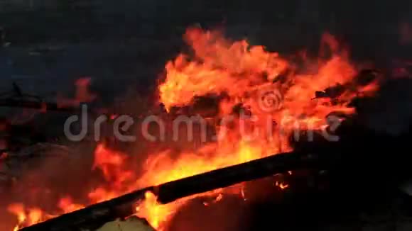 灰烬在火里燃烧视频的预览图