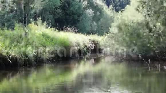 捷克小河流的时间流逝视频的预览图