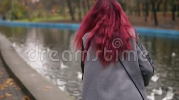 在人工池塘里一位红头发的年轻女子朝海鸥跑去让她们飞走了秋日视频的预览图