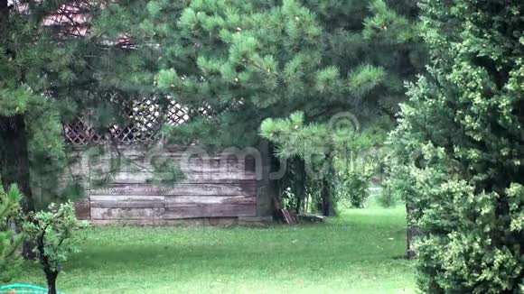 一个花园的景色与木棚在一场暴雨中的雷声和雨声视频的预览图