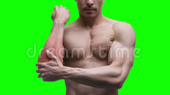 肘关节疼痛绿色背景男性肌肉色度键4K视频视频的预览图