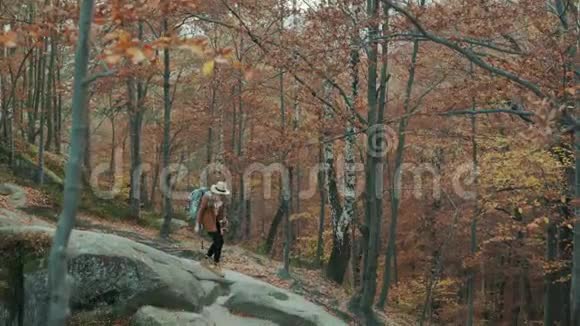 美丽的流浪女孩戴着一顶帽子脖子上戴着相机穿过秋天的森林穿过岩石视频的预览图
