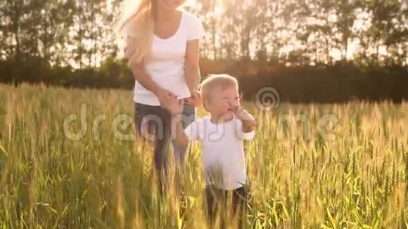 幸福家庭的概念在黑麦田里孩子和他的母亲喜欢在小穗上互相微笑视频的预览图