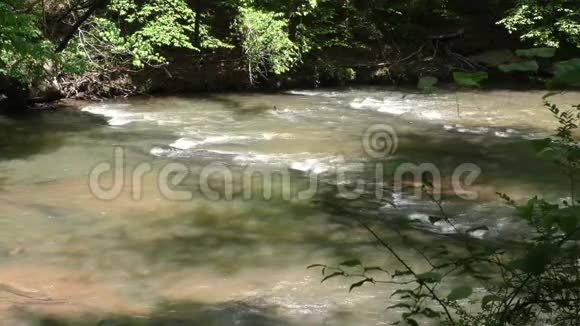 乔治亚州大溪看大溪下游的小急流视频的预览图