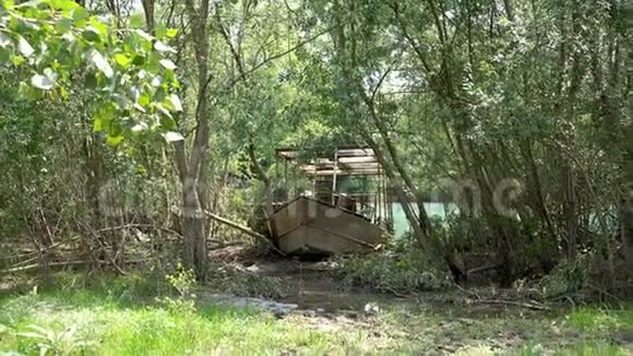 河岸植物丛中的旧木船视频的预览图