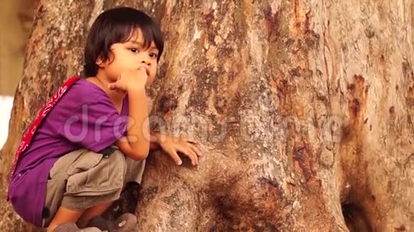 拇指吮吸男孩在大树下视频的预览图