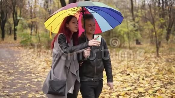 年轻的幸福夫妇牵着一把五颜六色的雨伞一起在秋天的公园里散步有红发魅力的女人视频的预览图