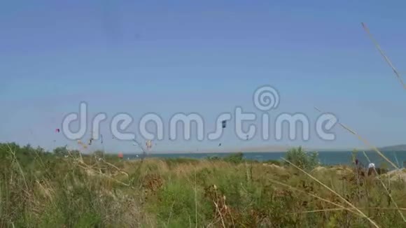 绿色草地的景色和上面的风筝视频的预览图
