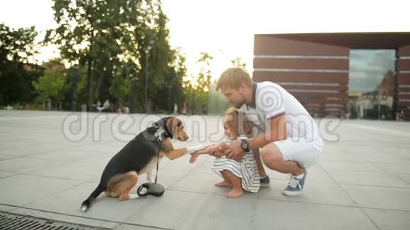 大胡子父亲和他的女儿在城市日落时的肖像比格狗给小女孩一只爪子视频的预览图