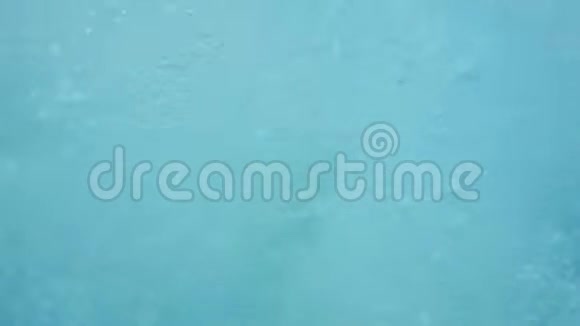 海底水面碧海气泡视频的预览图