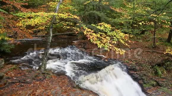 在秋天的加诺加瀑布上循环一个的立克次体宾夕法尼亚视频的预览图