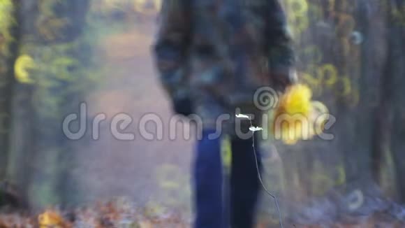 少年童子军在秋天探索森林视频的预览图