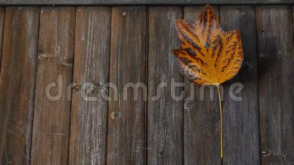 秋叶木桌背景视频的预览图