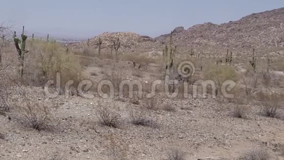 亚利桑那州沙漠南山沙漠的一个平底锅背景是凤凰视频的预览图