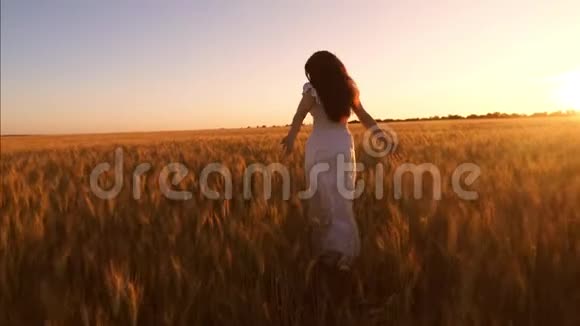 长着长发的女孩带着金色的小麦跑过田野在夕阳的照耀下慢动作视频的预览图