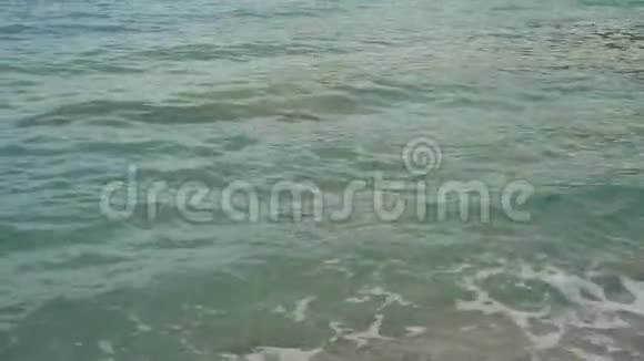 平静的海浪海洋太阳视频的预览图