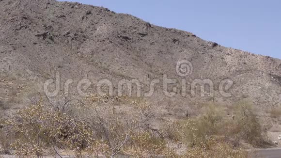 亚利桑那州沙漠另一个南山公园沙漠的景色前景是灌木丛视频的预览图