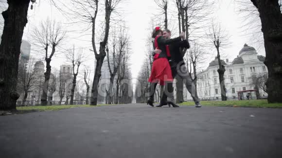 年轻可爱的男孩和女孩在公园里裸树间跳舞视频的预览图