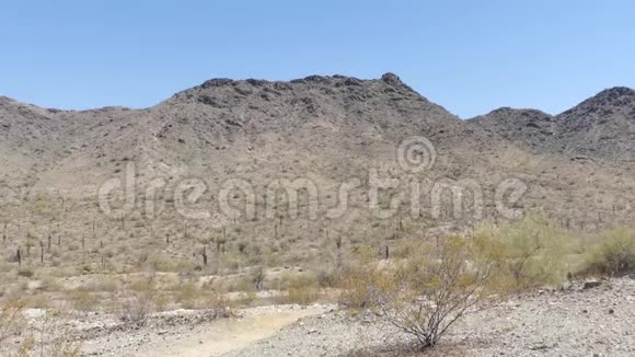 亚利桑那州沙漠南山公园的全景显示沙漠和山视频的预览图