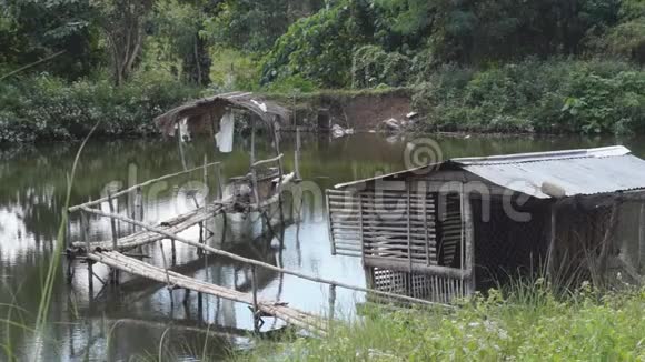 竹桥过鱼池视频的预览图