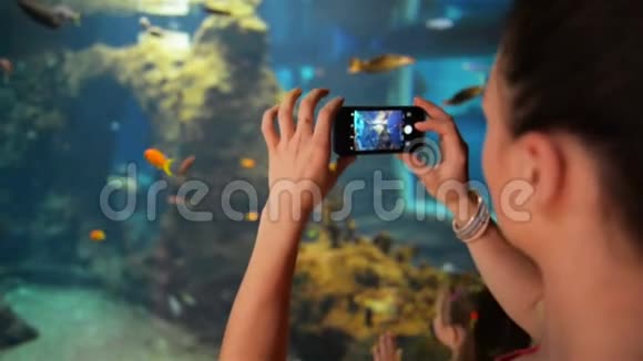 小女孩正在水族馆拍照她拿着手机拍照视频的预览图