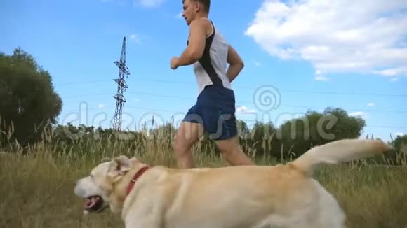 年轻人和他的狗在户外跑步拉布拉多或金毛猎犬在大自然中与男主慢跑健康视频的预览图