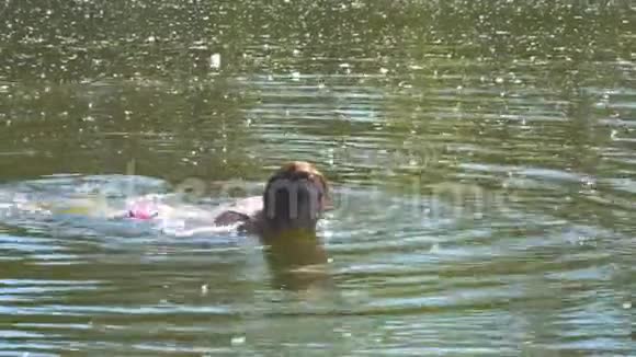 年轻女子穿着泳衣在河边游泳视频的预览图