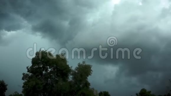 大风吹雨云下雨前摇动树木视频的预览图