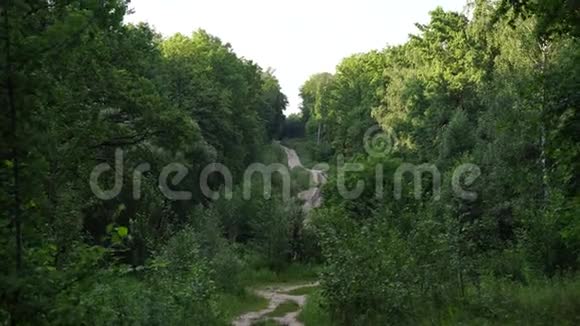 狭窄的道路穿过绿色的小树林狭窄蜿蜒的小径穿过绿色的灌木丛和树木映衬着多云的天空视频的预览图