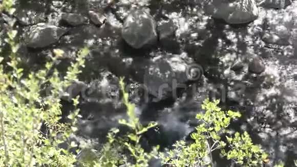 亚利桑那橡树溪峡谷从上面可以看到流经橡树溪岩石的水视频的预览图