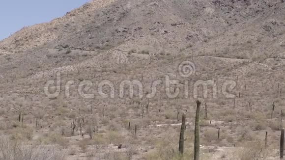 亚利桑那州沙漠一个潘和倾斜的沙漠周围的南山凤凰视频的预览图