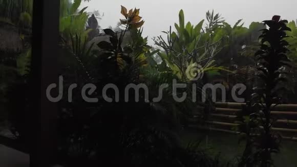 4热带别墅下雨的K镜头视频的预览图