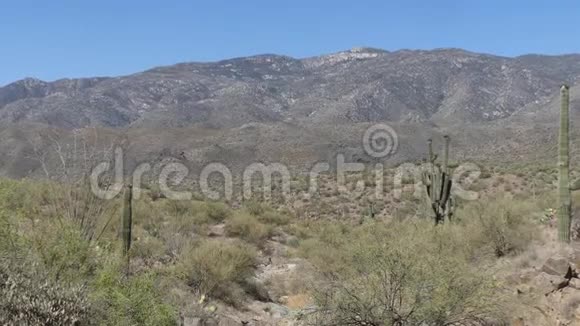 亚利桑那州沙漠从亚利桑那州比斯比附近的沙漠中的一座山上缩小视频的预览图