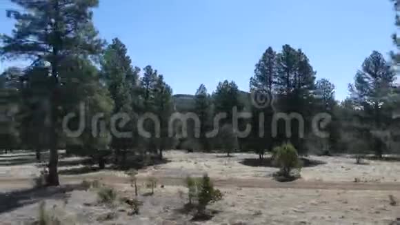 亚利桑那州大峡谷从大峡谷铁路的窗口俯瞰森林视频的预览图