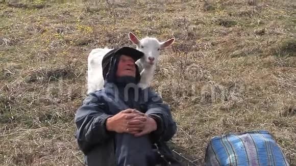 一位衣衫褴褛的老人坐在一座小山上在枯萎的背景下放牧着一群自己的山羊视频的预览图
