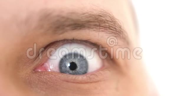 一个惊讶的情绪激动的男人的特写蓝色的眼睛看着镜头3840x2160视频的预览图