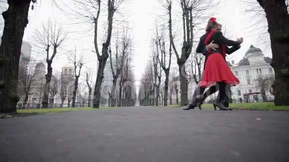 男人和女人美丽地跳舞探戈在冬天的街道被裸露的树木包围视频的预览图