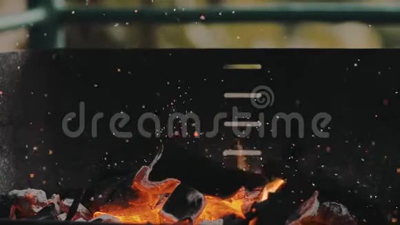 慢动作烧烤营地木炭烤炉火和颗粒视频的预览图