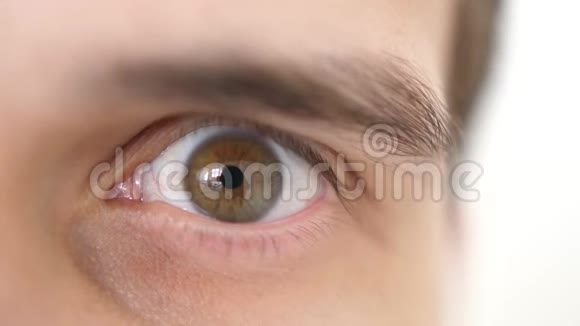 一个惊讶的情感男人的特写棕色的眼睛看着镜头3840x2160视频的预览图