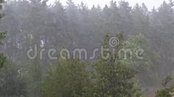 绿色森林里的暴雨慢动作雨点落在树叶上视频的预览图