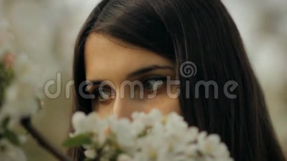一个年轻的女人走过春天的花园享受苹果花的香味视频的预览图