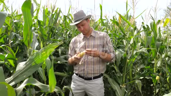 玉米田里的农民检查作物检查玉米上的玉米视频的预览图