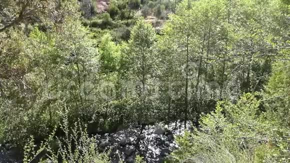 亚利桑那橡树溪峡谷从道路上看到流动的橡树溪和树木视频的预览图