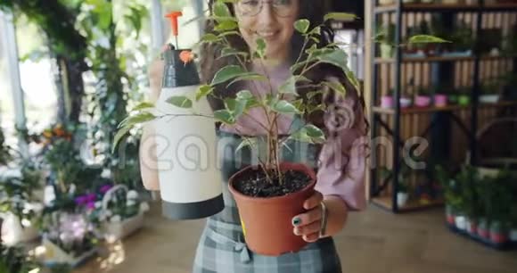 年轻女子花店用水喷洒盆栽植物视频的预览图