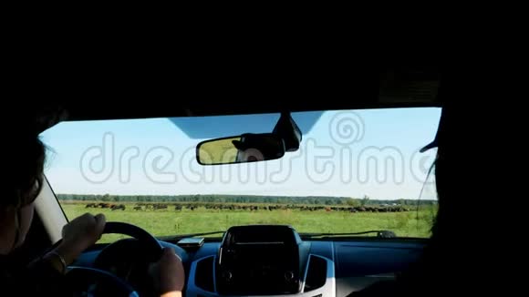 从车内通过挡风玻璃观看农夫骑着车穿过绿色的田野检查他的土地夏日视频的预览图