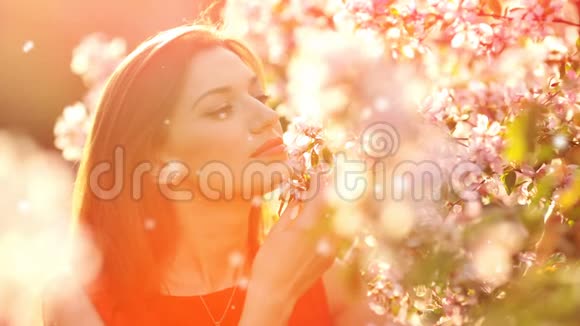 一位美丽的年轻女子闻着一棵开花的树枝视频的预览图