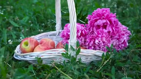 夏天草篮里有机苹果大自然的鲜花视频的预览图