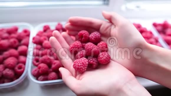 雌性手中的成熟草莓在白色背景下室内视频的预览图